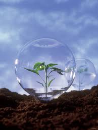 Tính năng của khí ozone và khí clo Tính năng của khí ozone và khí clo